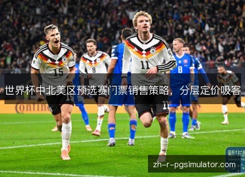 世界杯中北美区预选赛门票销售策略，分层定价吸客
