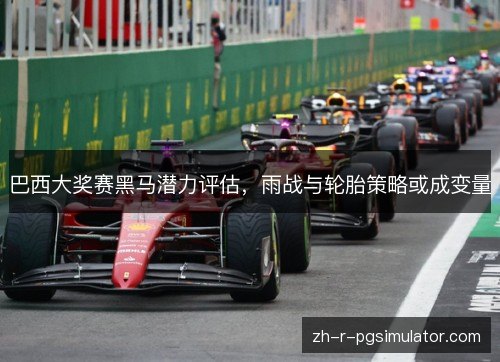 巴西大奖赛黑马潜力评估,雨战与轮胎策略或成变量 巴西大奖赛黑马潜力评估,雨战与轮胎策略或成变量